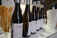 PROWINE  – DUSSELDORF 2014-2015